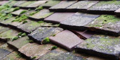 Duxford roof repair costs